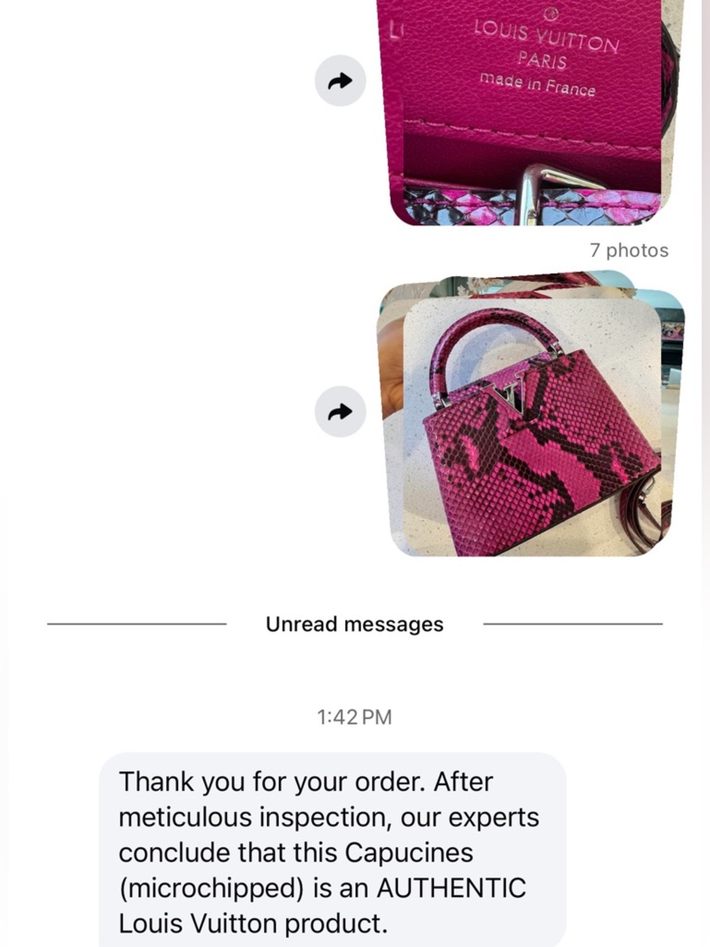 Louis Vuitton Python Capucines Mini - Picture 16 of 16